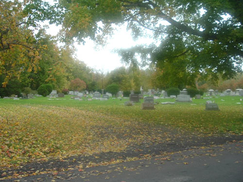 Glenside Cemetery Cemetery